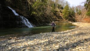 Advanced Trout Fishing: Techniques for the Experienced Angler