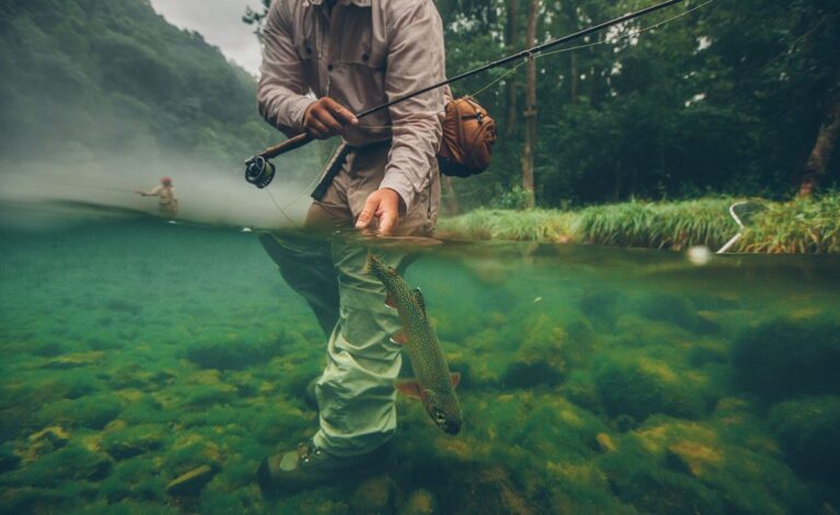 Fly Fishing for Trout: A Beginner’s Guide