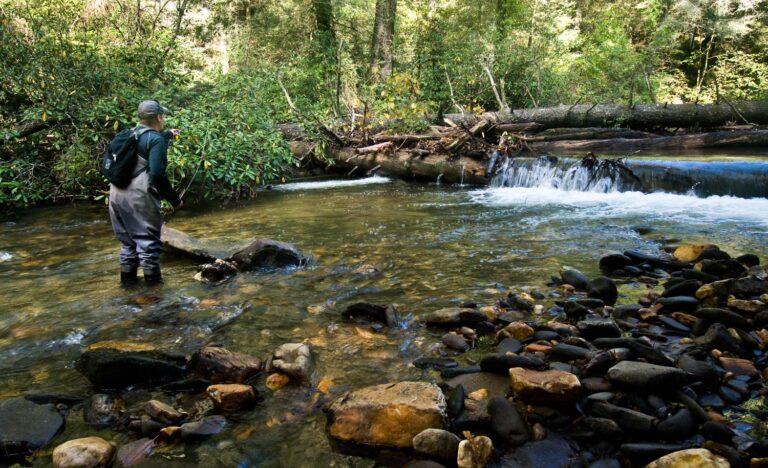 How to Fish Small Streams for Big Trout