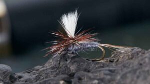 How to Use Dry Flies for Surface Strikes