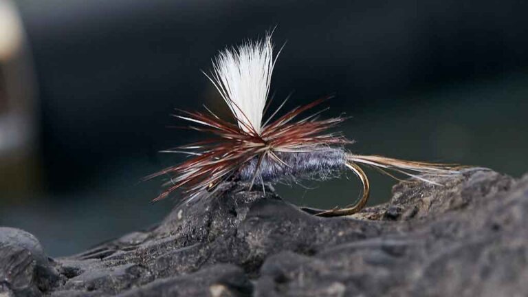 How to Use Dry Flies for Surface Strikes
