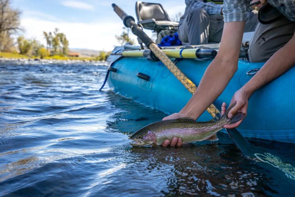 Stillwater Trout Fishing Tactics