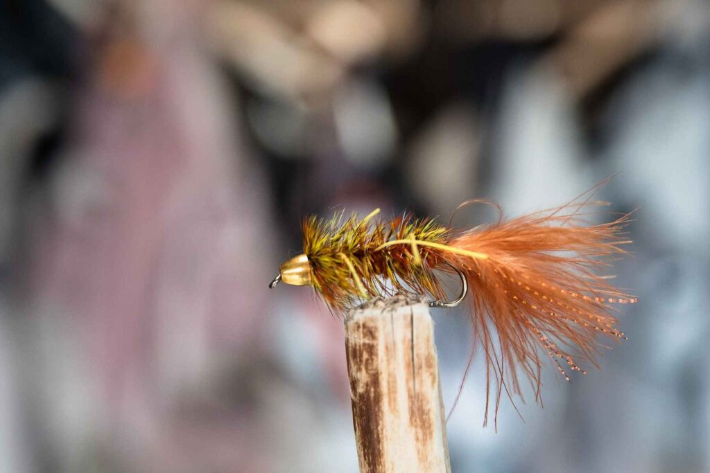 Top 5 Springtime Flies That Always Work