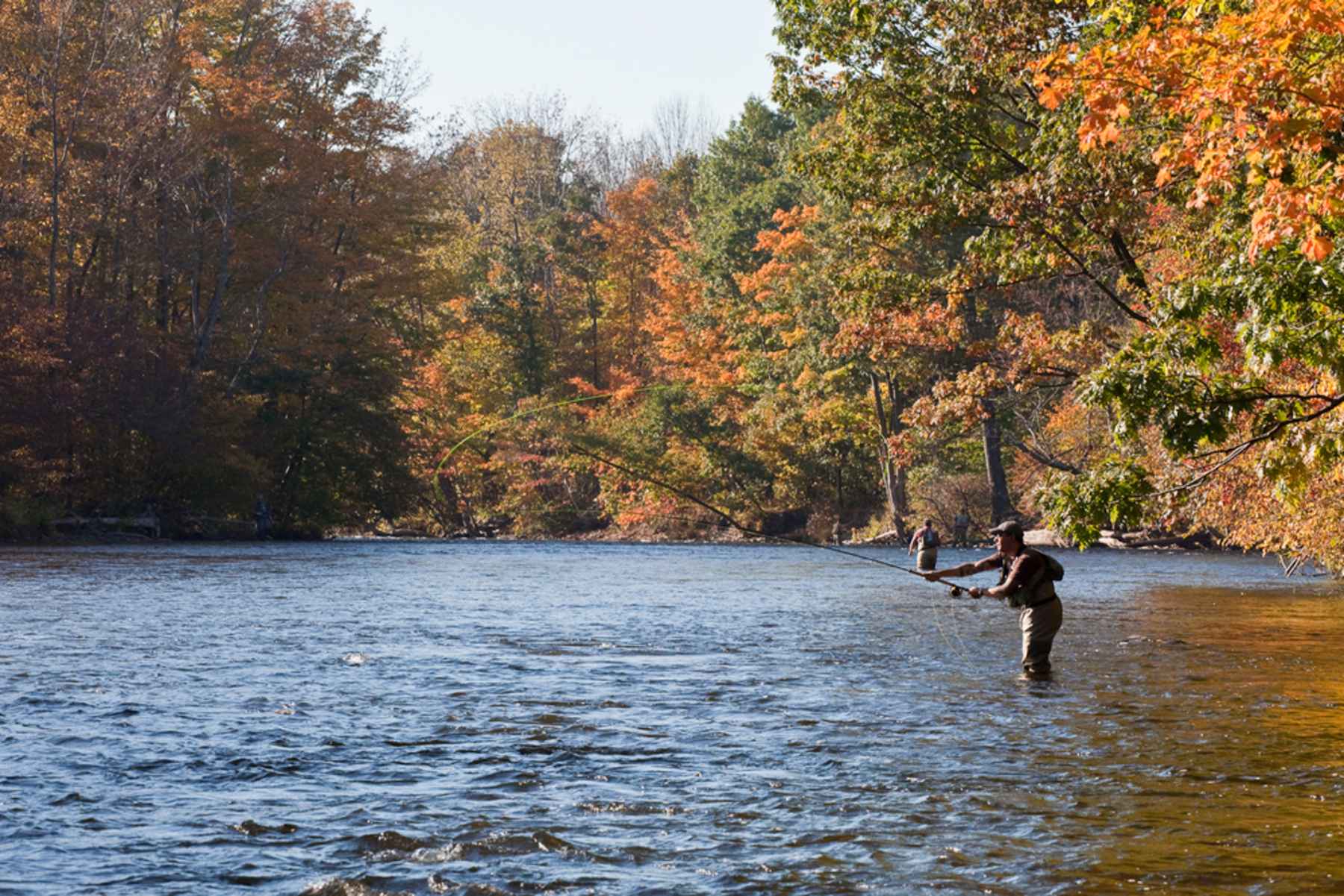 Fall Trout Fishing Across the U.S.: What’s Working Right Now